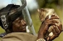 Amagundwane-Amagundane-Spiritual-Rats-Sangoma-Spiritual-traditional-Healer-Money-Spells-27634299958