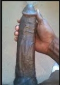 Most-used-penis-enlargement-classifieds-in-Bostswana-France-germany-norway-denmark-27634299958-mutuba-seed